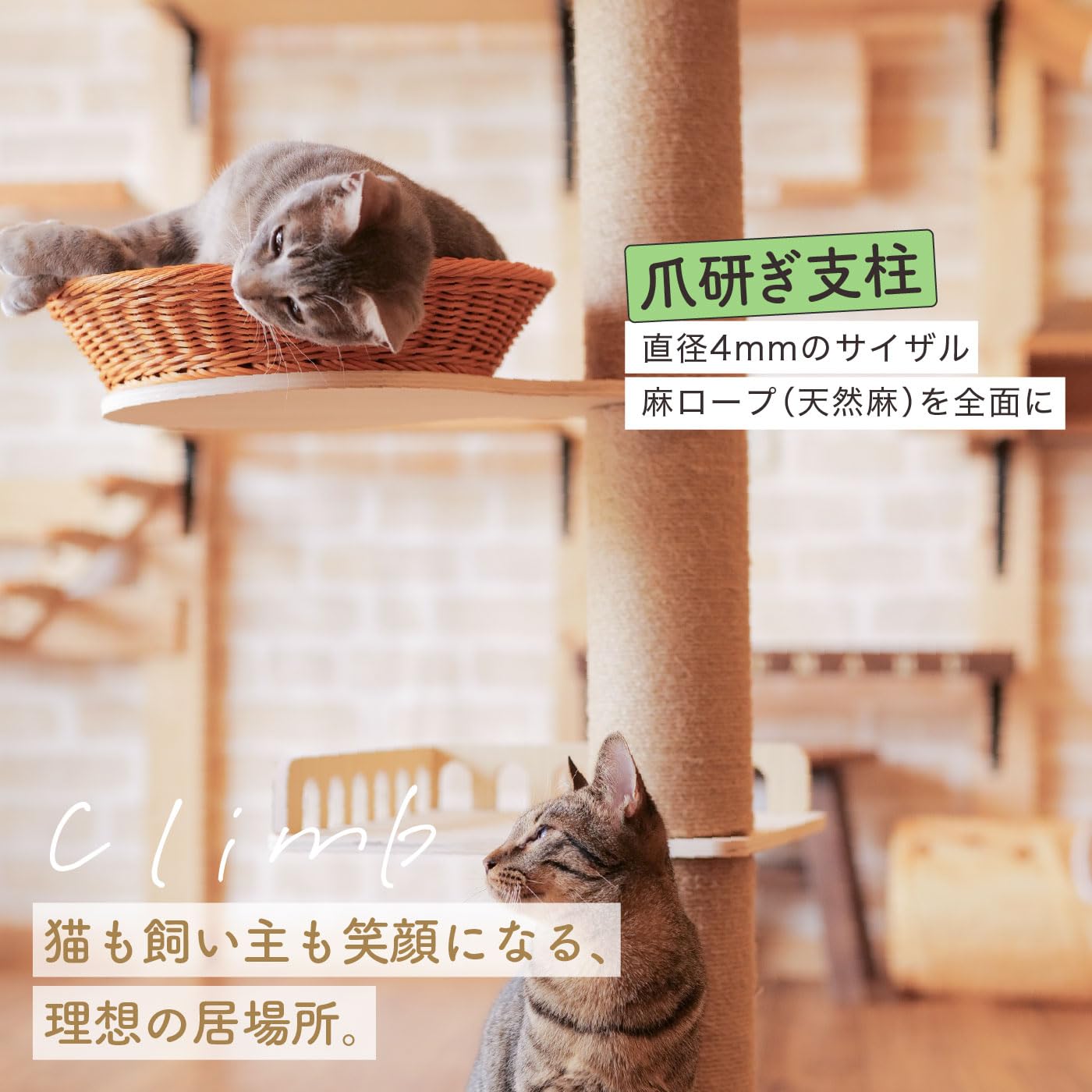 Amazon | nekolista キャットタワー 木製 スリム ハイタイプ 猫
